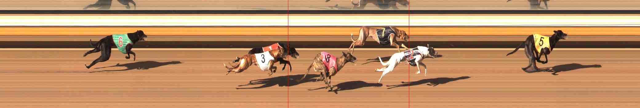 Photo finish for Warrnambool Race 10