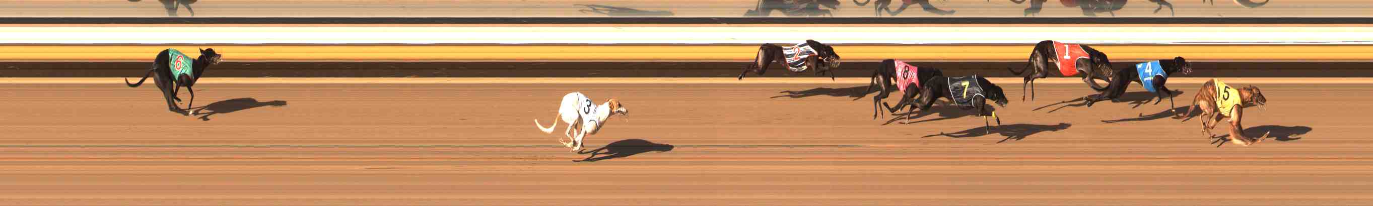 Photo finish for Warrnambool Race 11
