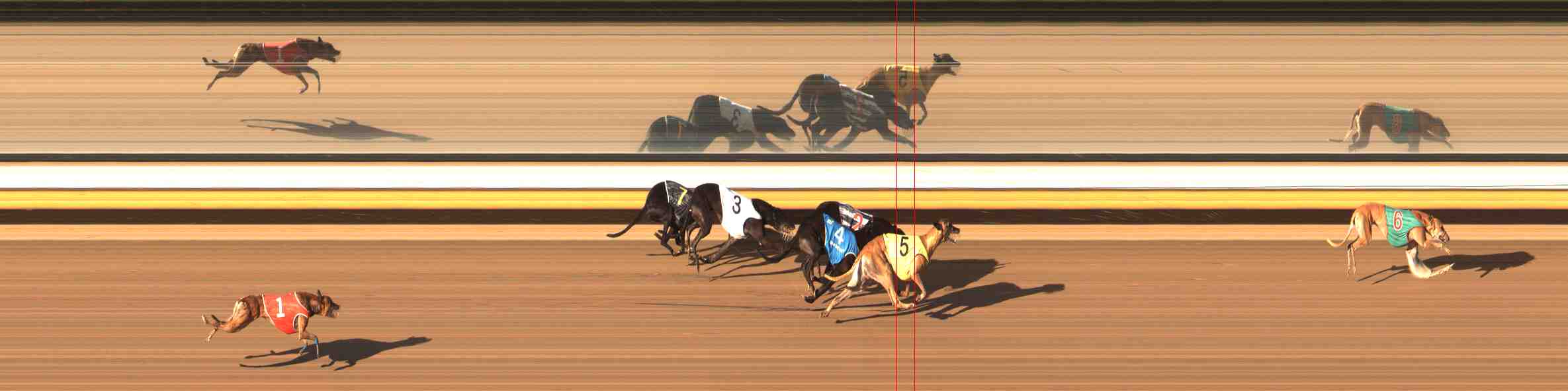 Photo finish for Warrnambool Race 12