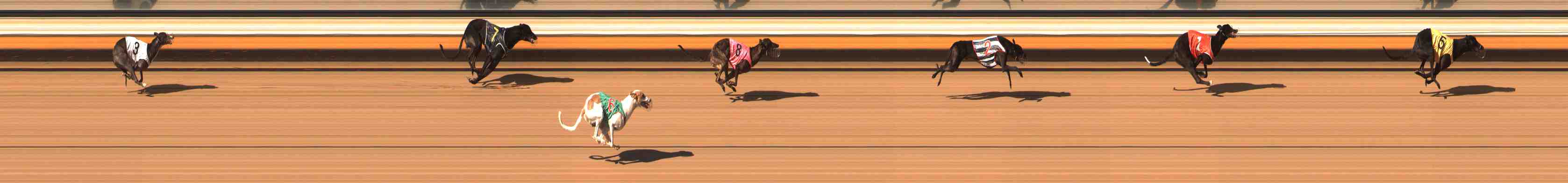 Photo finish for Warrnambool Race 2