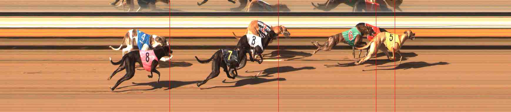 Photo finish for Warrnambool Race 3