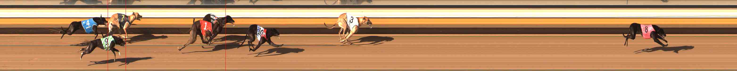 Photo finish for Warrnambool Race 4