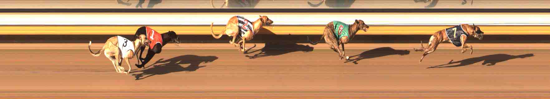 Photo finish for Warrnambool Race 5