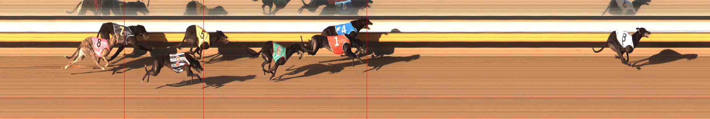Photo finish for Warrnambool Race 6