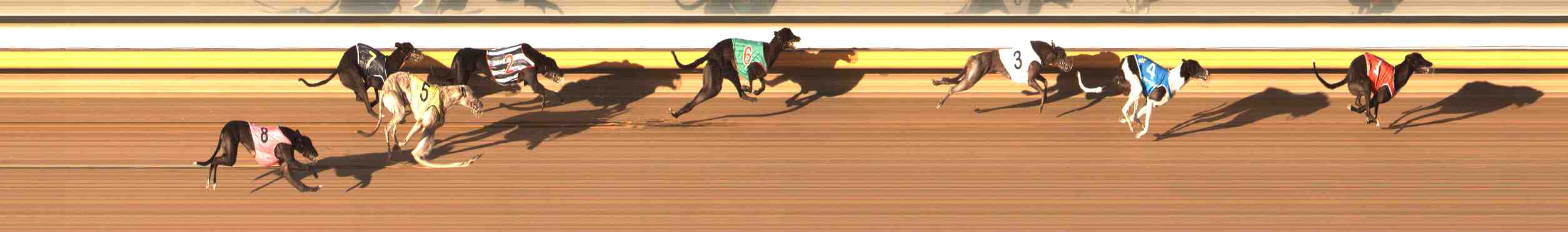 Photo finish for Warrnambool Race 7