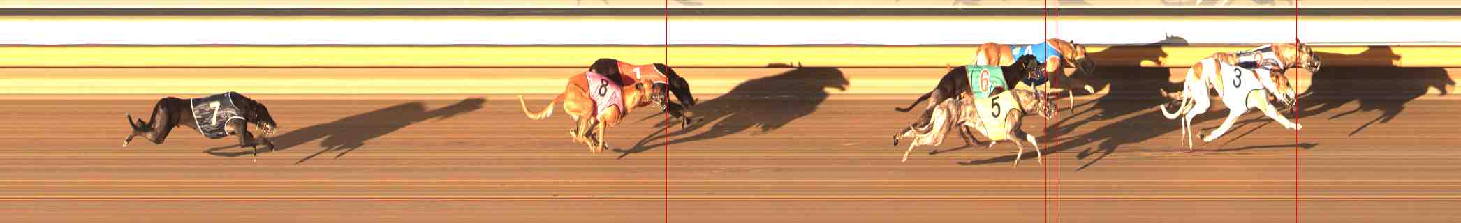 Photo finish for Warrnambool Race 8
