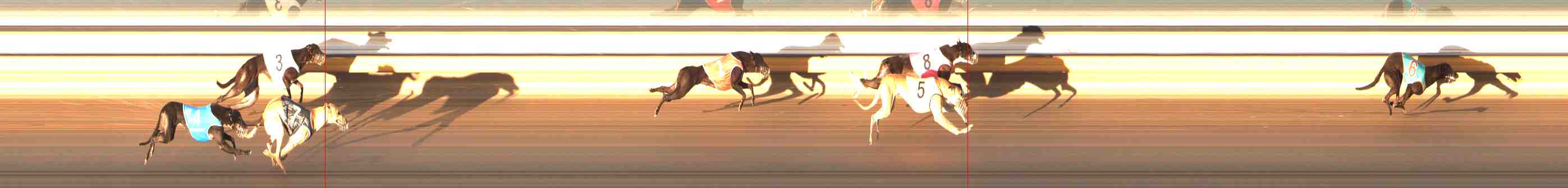 Photo finish for Warrnambool Race 9