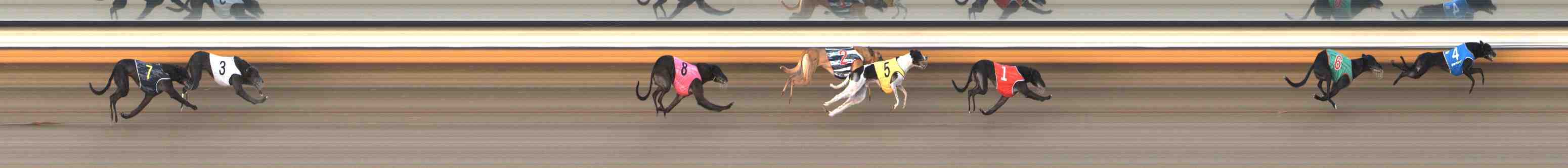 Photo finish for Warrnambool Race 10