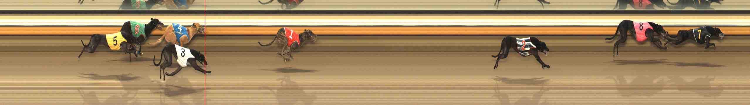 Photo finish for Warrnambool Race 11