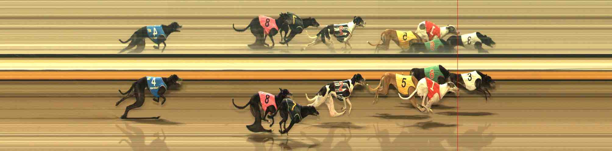 Photo finish for Warrnambool Race 12