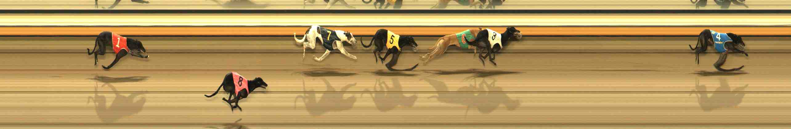 Photo finish for Warrnambool Race 13