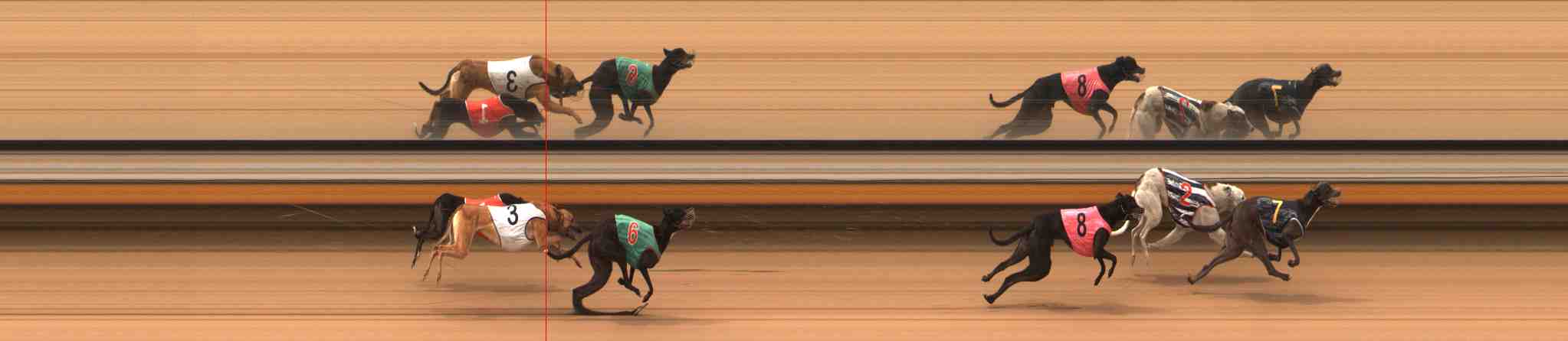 Race result finish photo