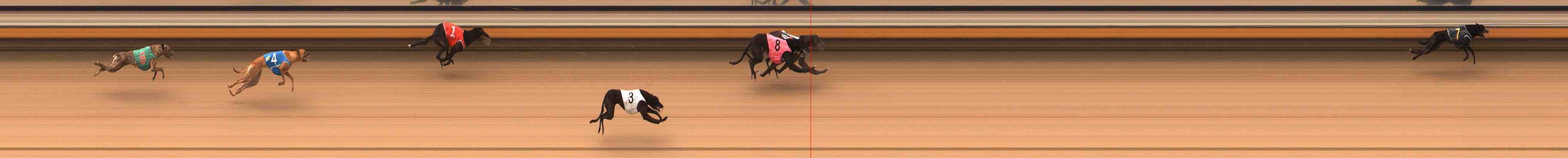 Photo finish for Warrnambool Race 2