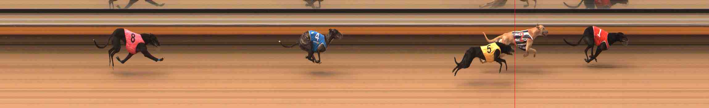 Photo finish for Warrnambool Race 3