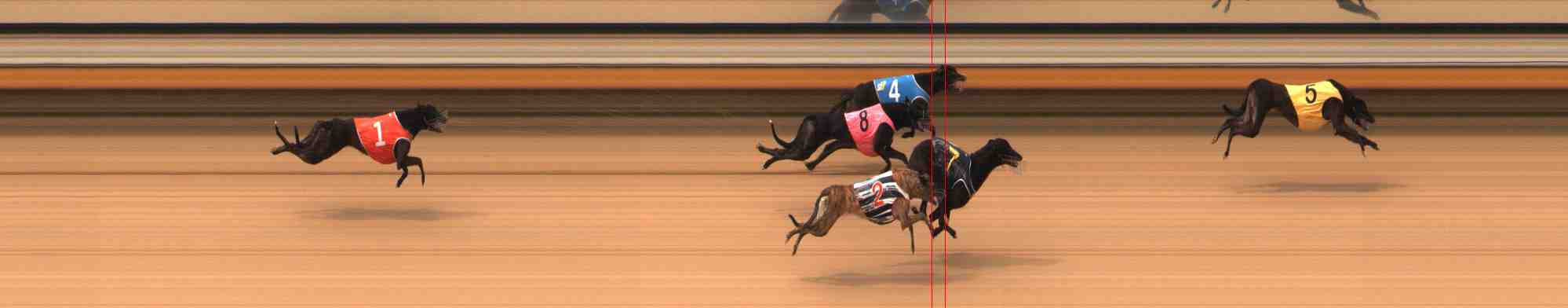 Photo finish for Warrnambool Race 4