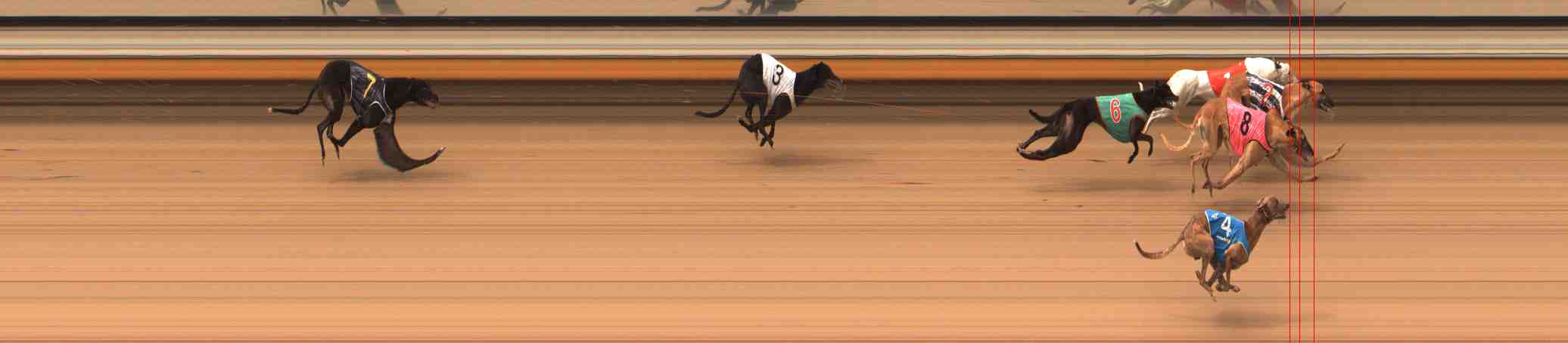 Photo finish for Warrnambool Race 5