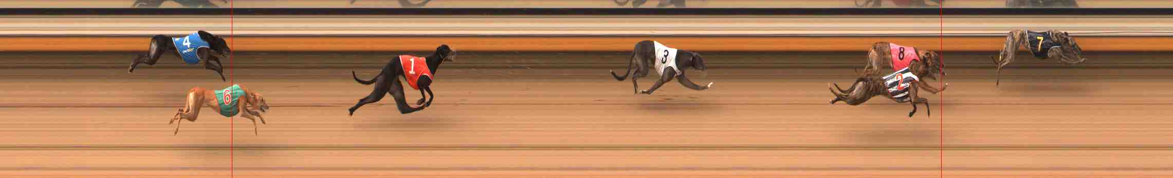 Photo finish for Warrnambool Race 6