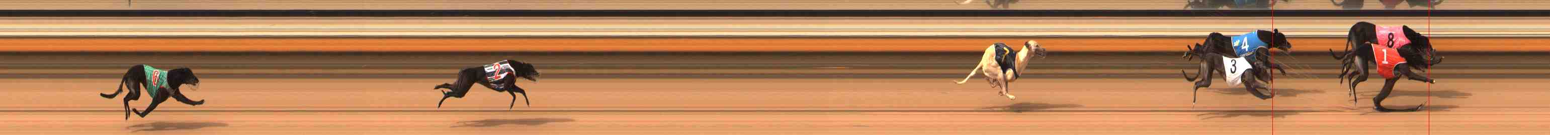 Photo finish for Warrnambool Race 7
