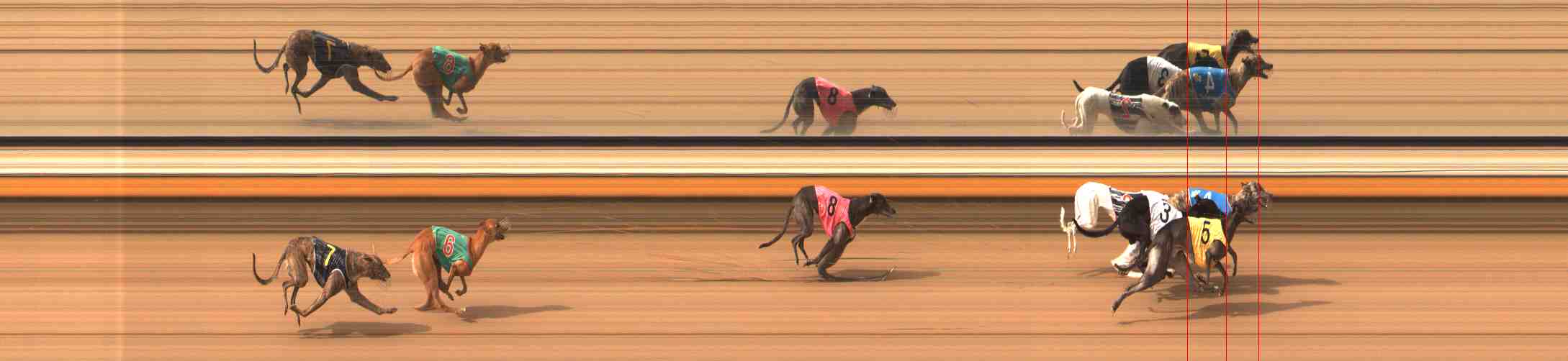 Photo finish for Warrnambool Race 8