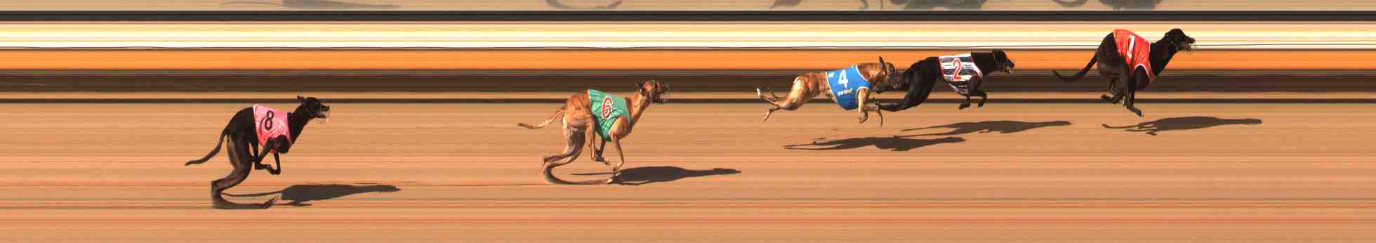 Photo finish for Warrnambool Race 9
