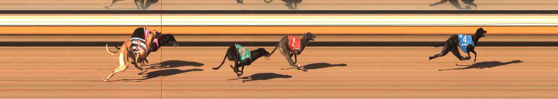 Photo finish for Warrnambool Race 10
