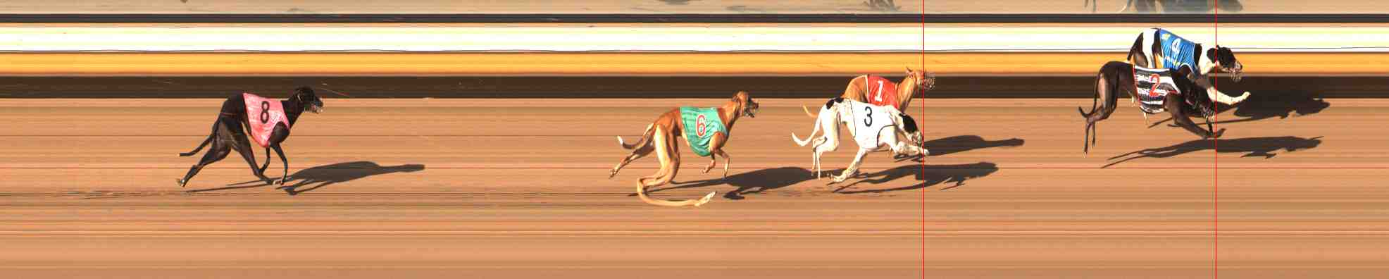 Photo finish for Warrnambool Race 11
