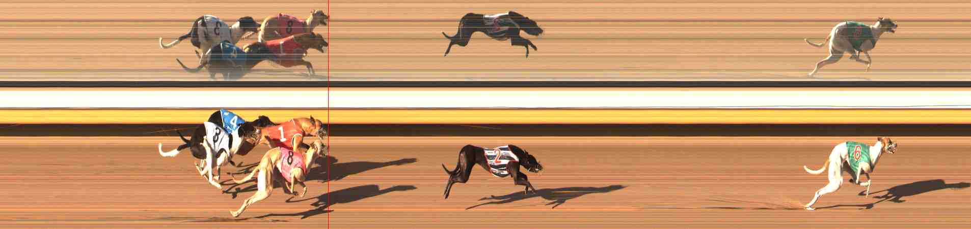 Photo finish for Warrnambool Race 12