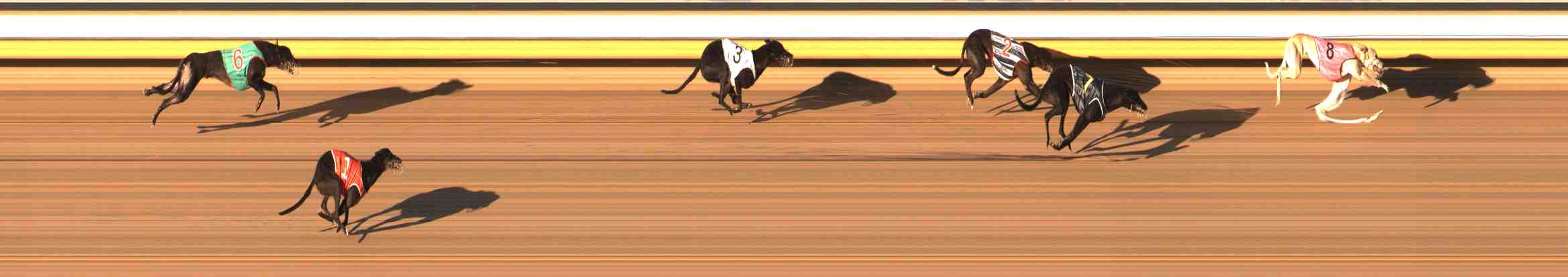 Photo finish for Warrnambool Race 13