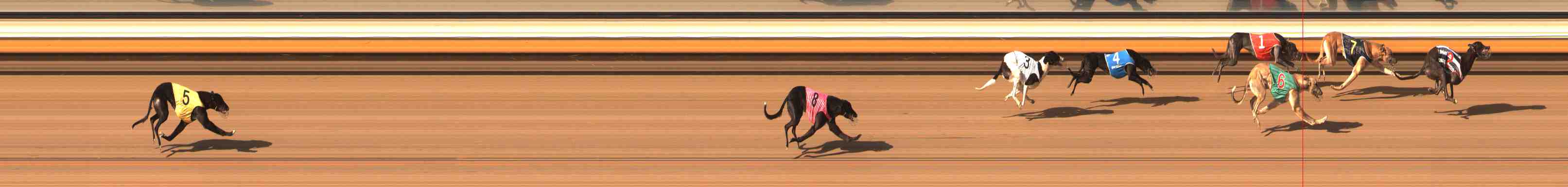 Photo finish for Warrnambool Race 2