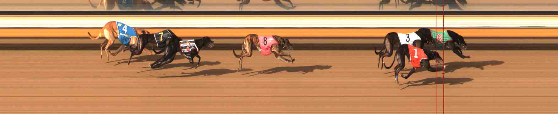 Photo finish for Warrnambool Race 3