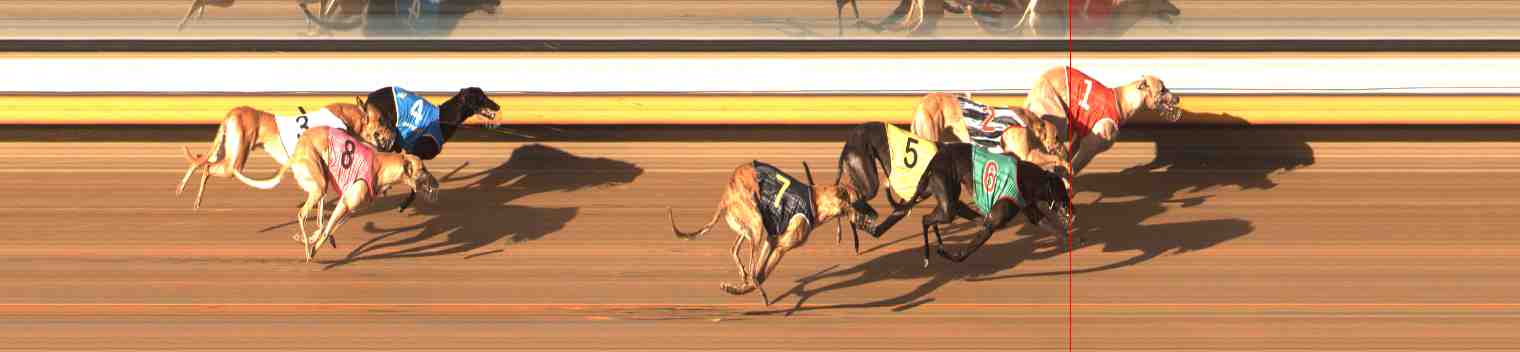 Photo finish for Warrnambool Race 5