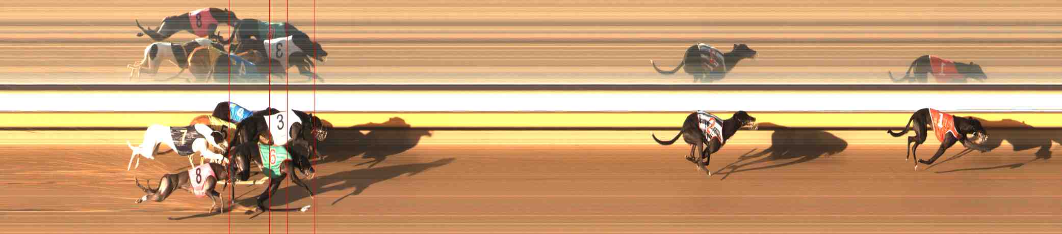 Photo finish for Warrnambool Race 6