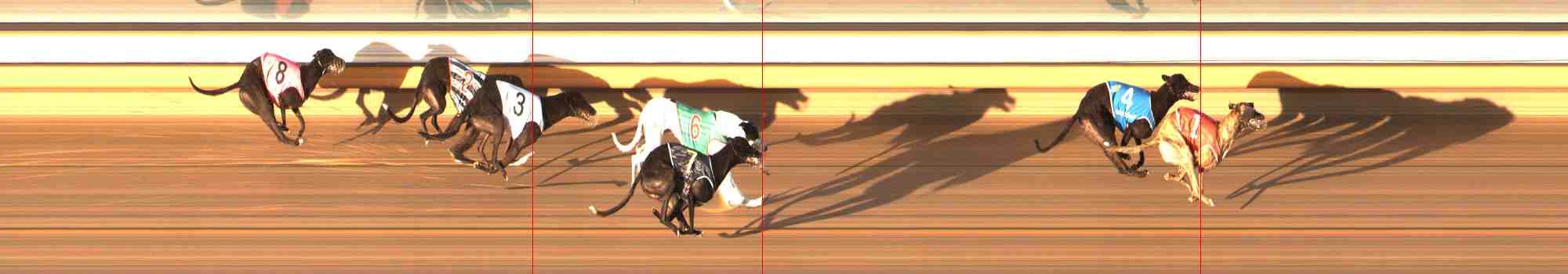 Photo finish for Warrnambool Race 7