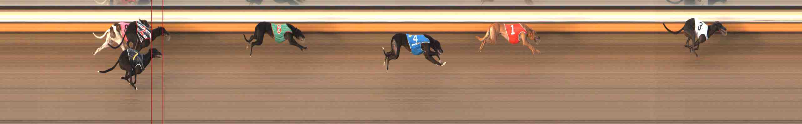Photo finish for Warrnambool Race 8