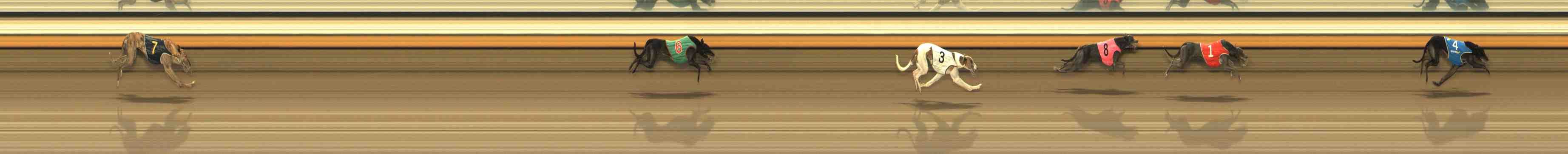 Photo finish for Warrnambool Race 10