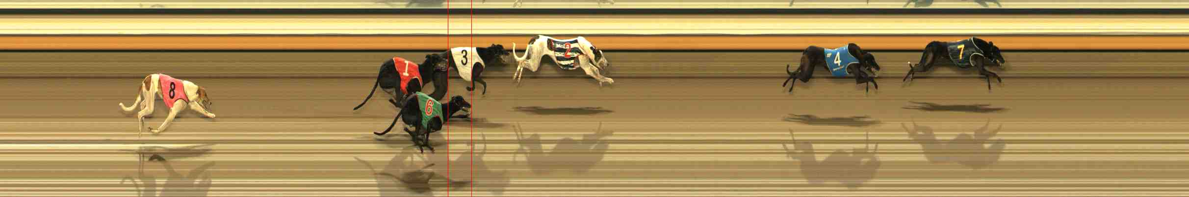 Photo finish for Warrnambool Race 11