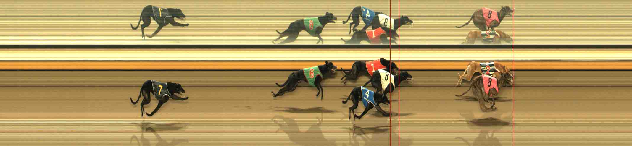 Photo finish for Warrnambool Race 12