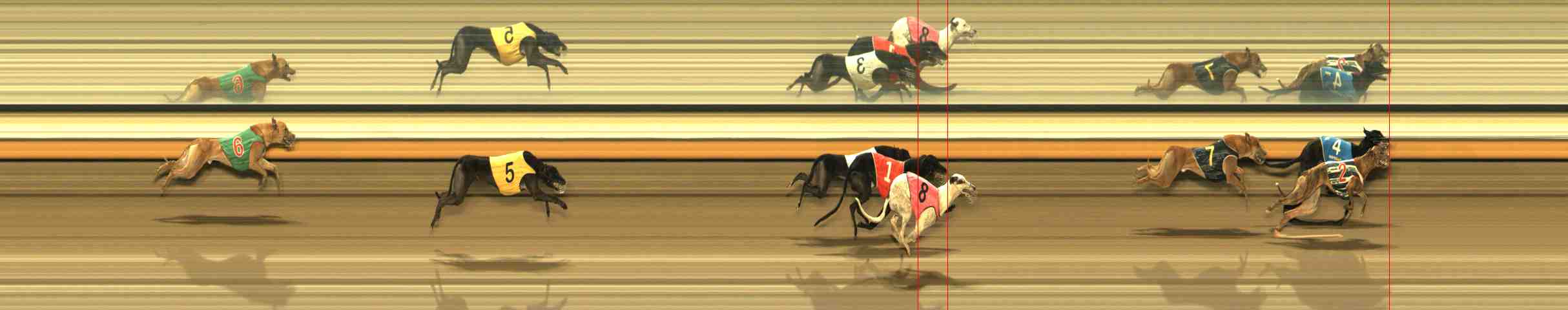 Photo finish for Warrnambool Race 13