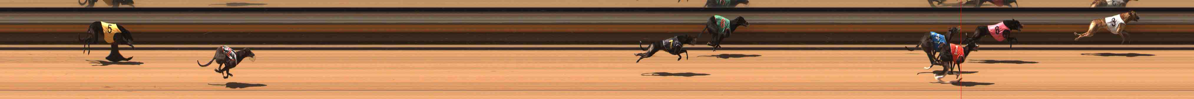Photo finish for Warrnambool Race 2