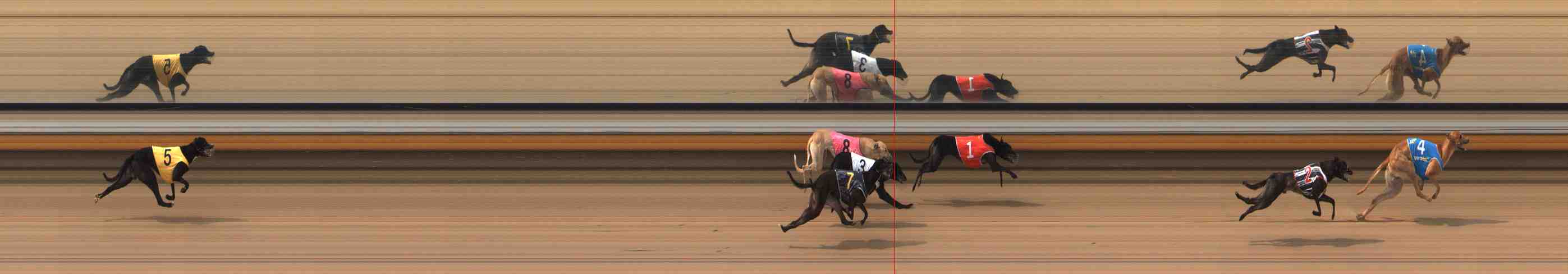 Photo finish for Warrnambool Race 3