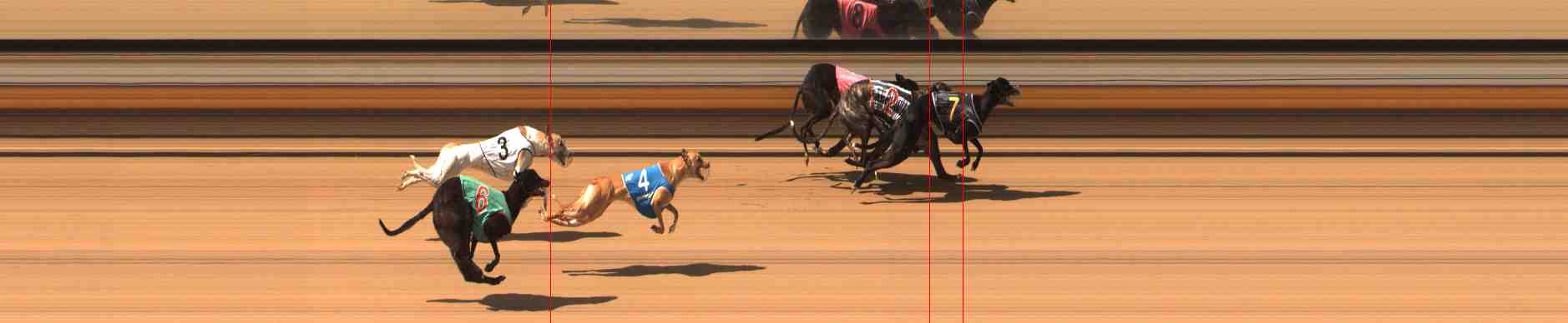 Photo finish for Warrnambool Race 4
