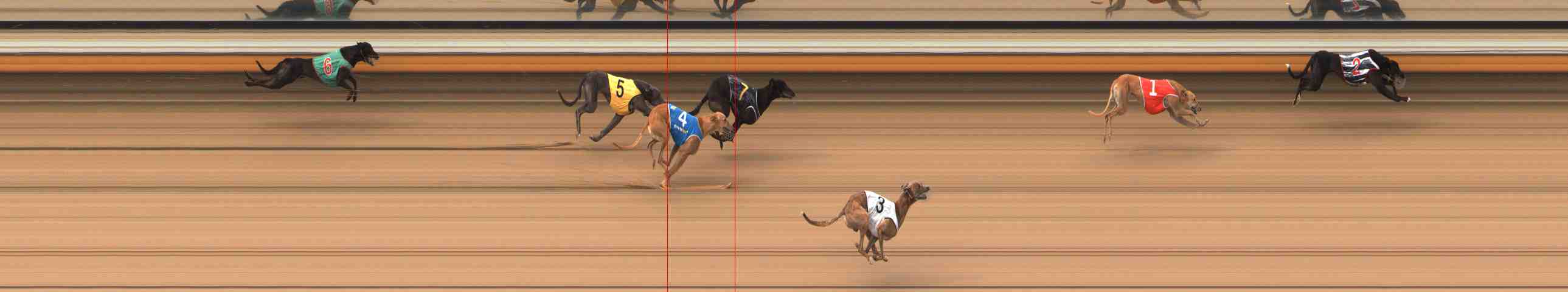 Photo finish for Warrnambool Race 5