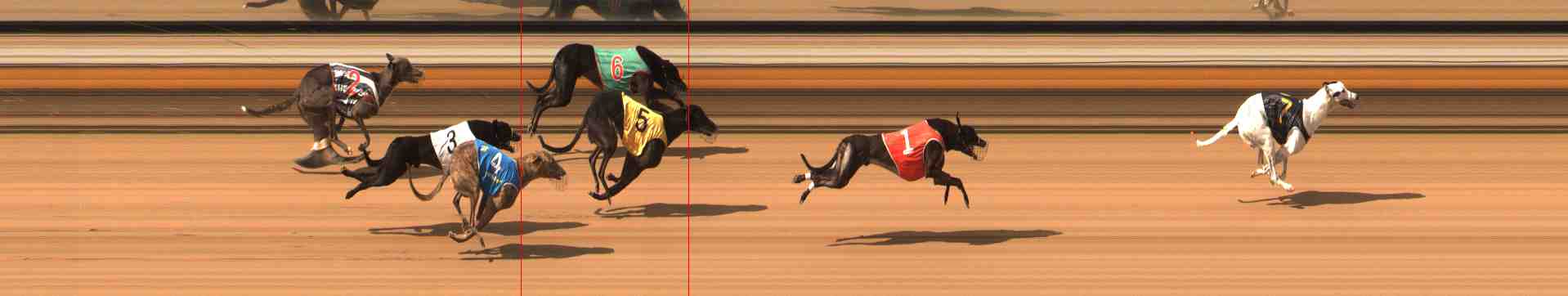 Photo finish for Warrnambool Race 6