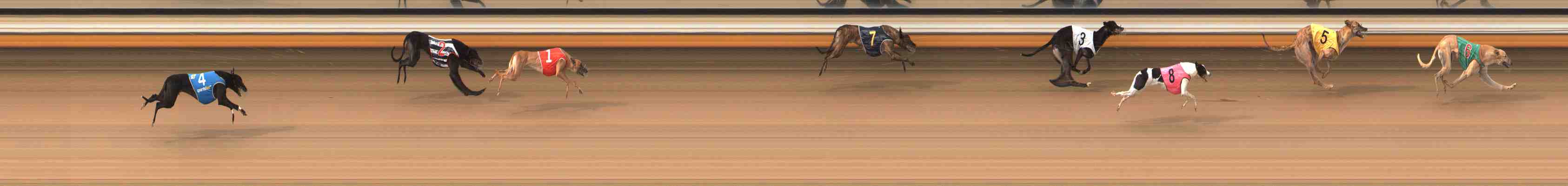 Photo finish for Warrnambool Race 7