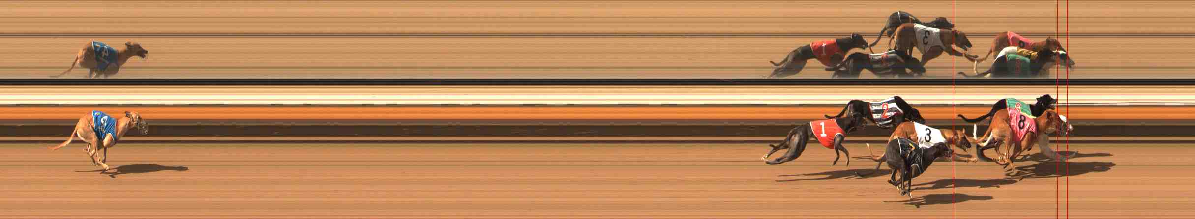 Photo finish for Warrnambool Race 8