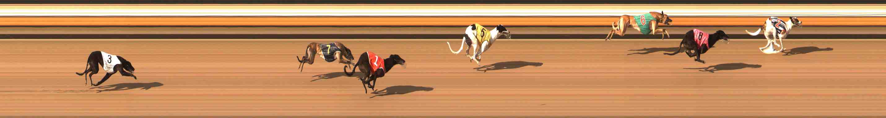 Photo finish for Warrnambool Race 9