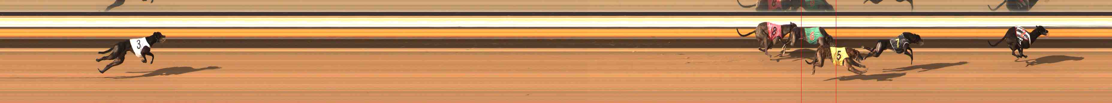 Photo finish for Warrnambool Race 10
