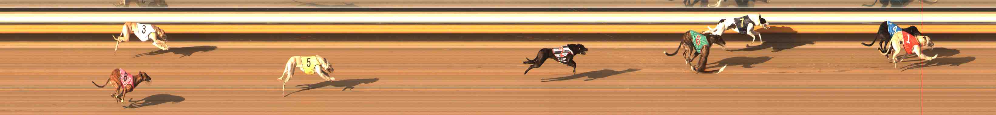 Photo finish for Warrnambool Race 11