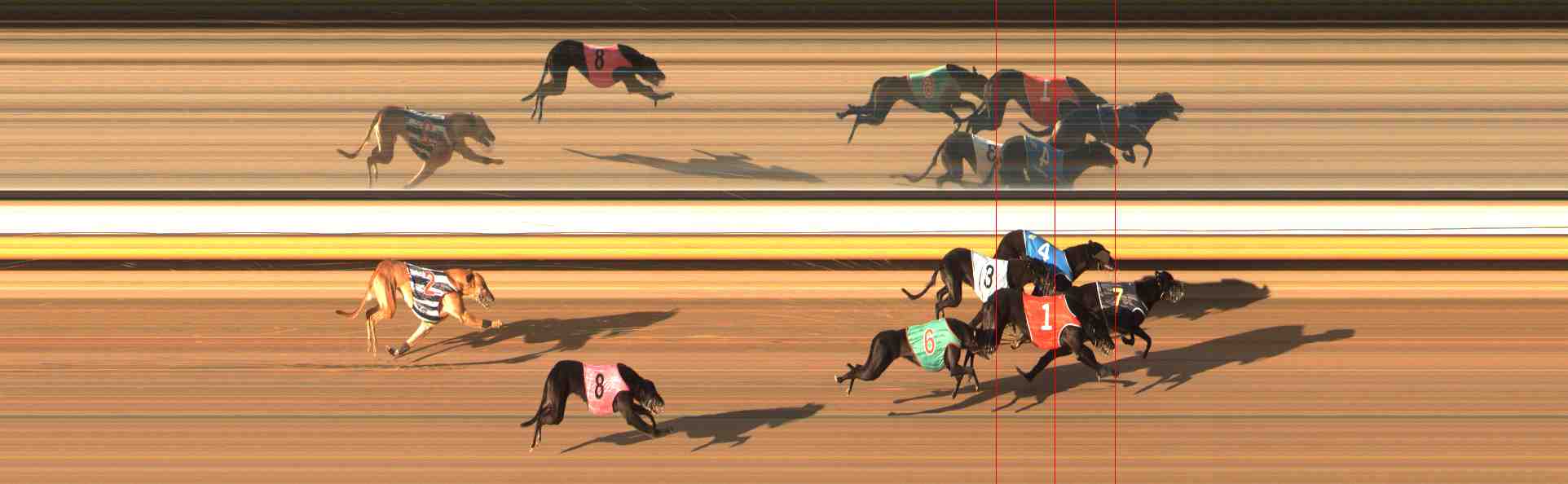 Photo finish for Warrnambool Race 12