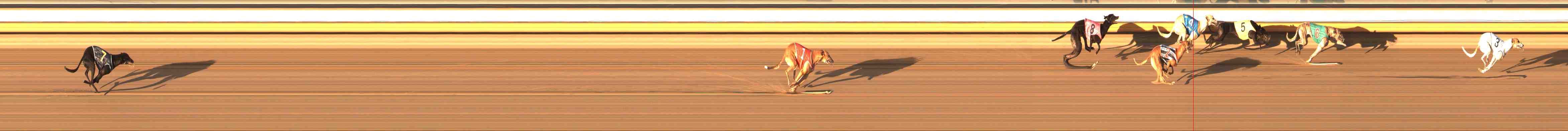 Photo finish for Warrnambool Race 13